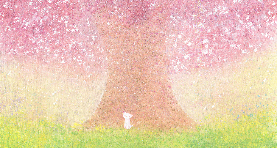 白ネコと桜の木