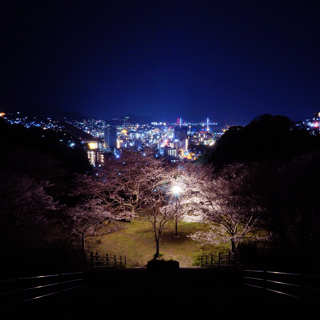 夜桜と長崎の夜景
